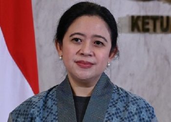 Ketua DPR RI Puan Maharani/Net