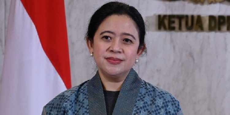 Ketua DPR RI Puan Maharani/Net